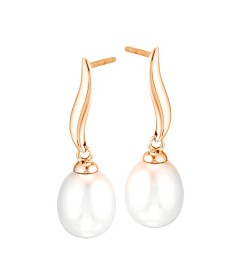 FE4221Y- 14KY Freshwater Pearl earrings 7.5mm
